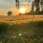Familienurlaub Mit Hund, Wellness & Bauernhoferlebnis Im Muensterland Apartmán