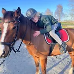 Apartmán Familienurlaub Mit Hund, Wellness & Bauernhoferlebnis Im Muensterland Mettingen (North Rhine-Westphalia)