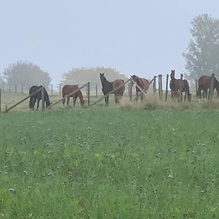 Apartment Upn Mit Ponyreiten Und Kutschfahrten *