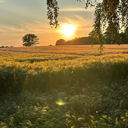 Familienurlaub Mit Hund, Wellness & Bauernhoferlebnis Im Muensterland Apartmán