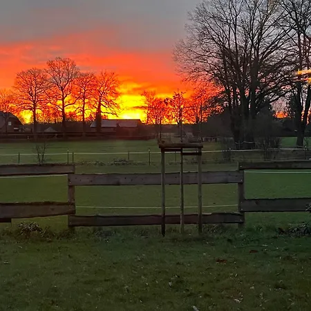 Superior Relax Und Wellness Mettingen (North Rhine-Westphalia)