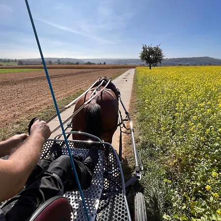 Familienurlaub Mit Hund, Wellness & Bauernhoferlebnis Im Muensterland Apartmán *