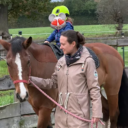 Apartment Upn Mit Ponyreiten Und Kutschfahrten Mettingen (North Rhine-Westphalia)