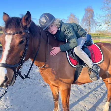 Apartamento Superior Relax Und Wellness Mettingen (North Rhine-Westphalia)