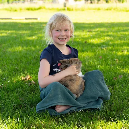 Familienurlaub Mit Hund, Wellness & Bauernhoferlebnis Im Muensterland Mettingen (North Rhine-Westphalia)