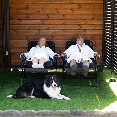 Familienurlaub Mit Hund, Wellness & Bauernhoferlebnis Im Muensterland Mettingen (North Rhine-Westphalia)