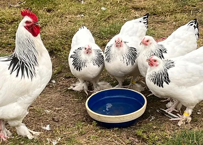 Superior Relax Und Wellness * Mettingen (North Rhine-Westphalia)