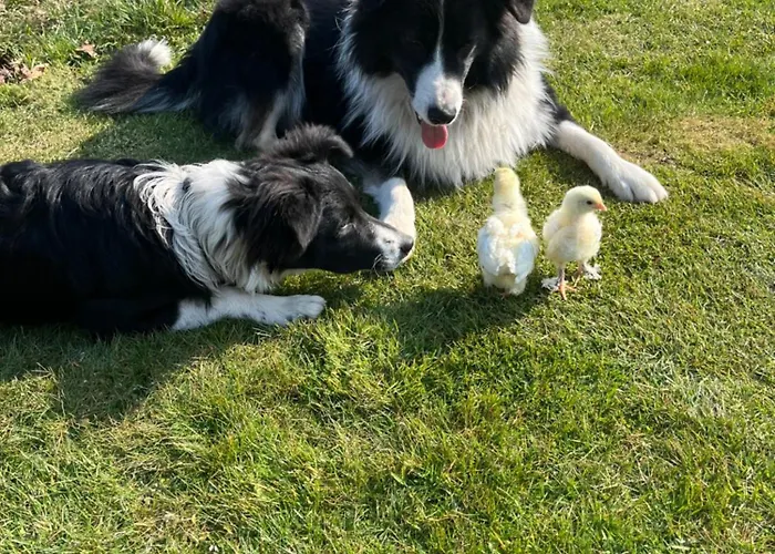 Romantisches Wellness Landhaus Apartment