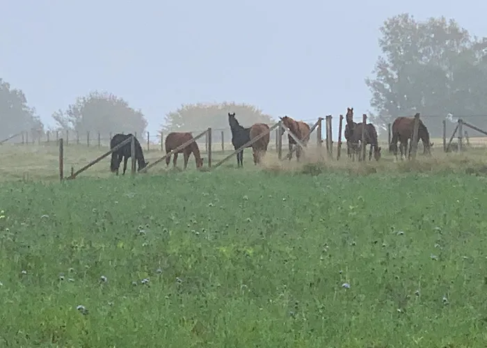 Apartment Romantisches Wellness Landhaus *