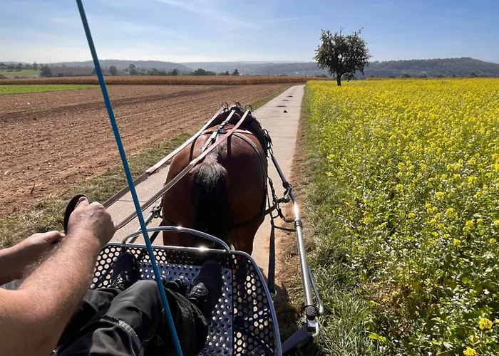 Superior Relax Und Wellness Lejlighed *