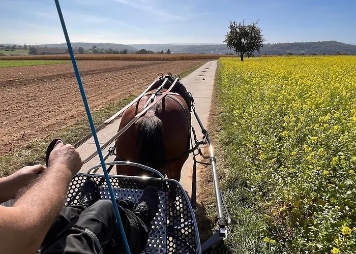 Superior Relax Und Wellness Lejlighed *