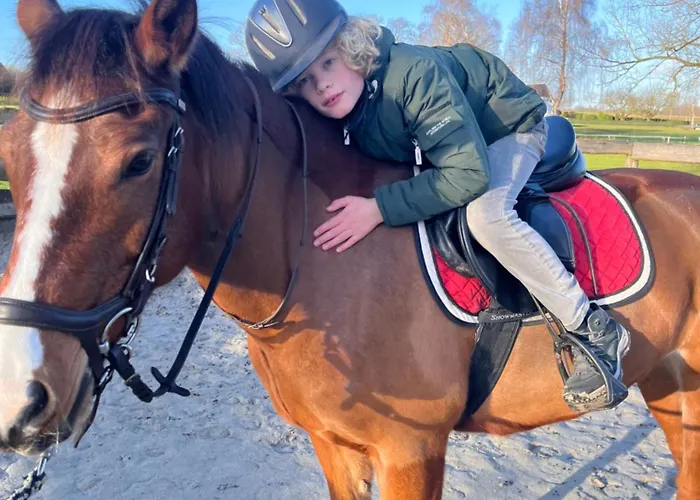 Lejlighed Superior Relax Und Wellness Mettingen (North Rhine-Westphalia)